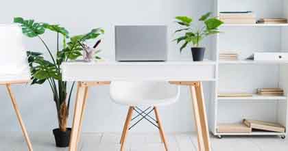 Vastu Plants for Office: Which Plants Should You Keep?